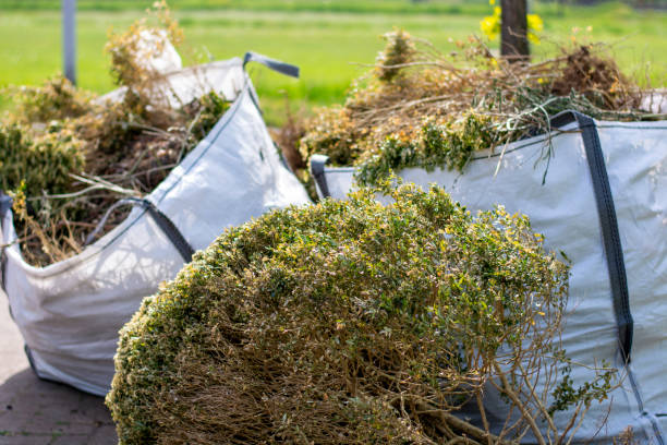 Best Construction Debris Removal  in Iron River, MI